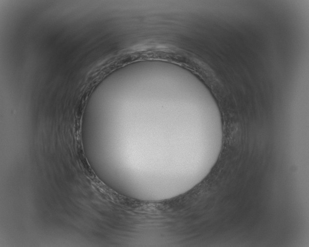 X0000081490966200701121108