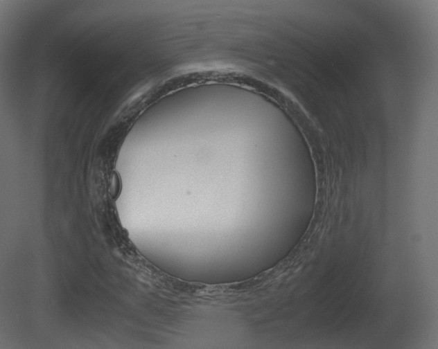 X0000081490967200701121108