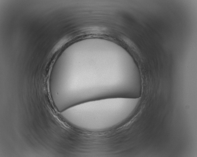 X0000081490970200701121108