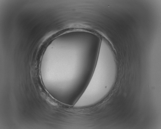 X0000081490971200701121108