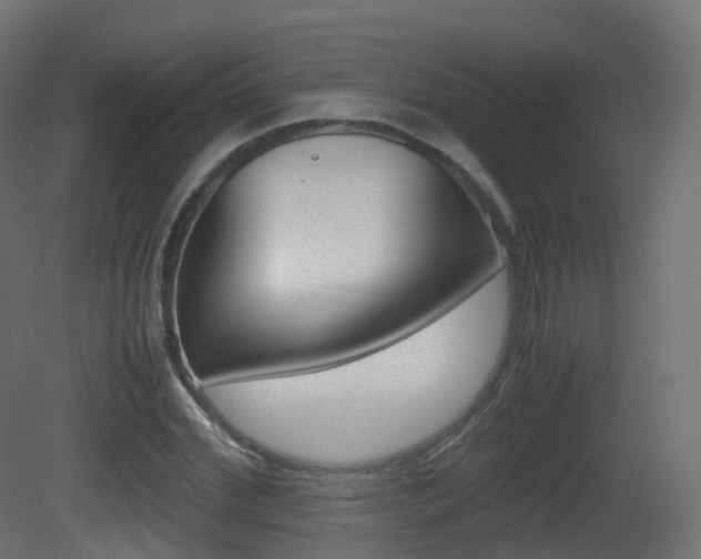 X0000081490972200701121108