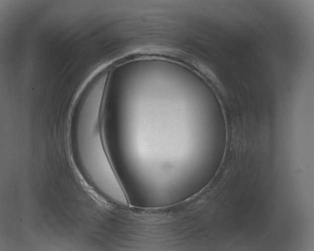 X0000081490976200701121108