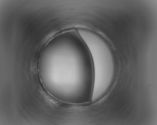 X0000081490977200701121108