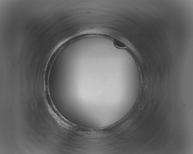 X0000081490980200701121108