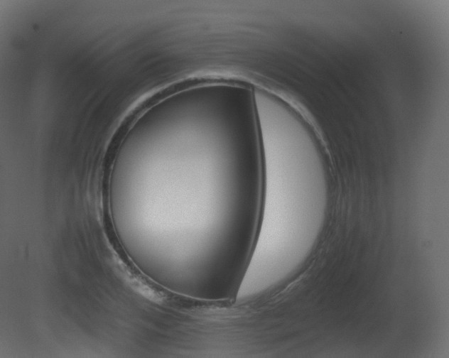 X0000081490984200701121108