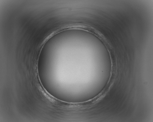 X0000081490985200701121108