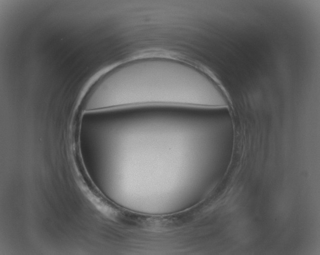 X0000081490987200701121107