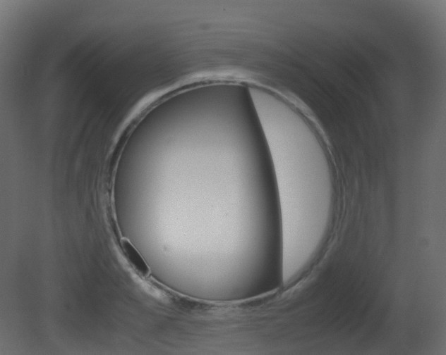 X0000081490989200701121107