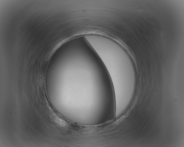 X0000081490993200701121107