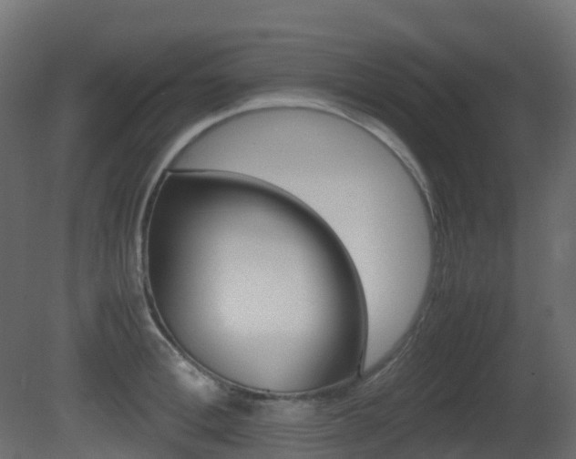 X0000081490996200701121107