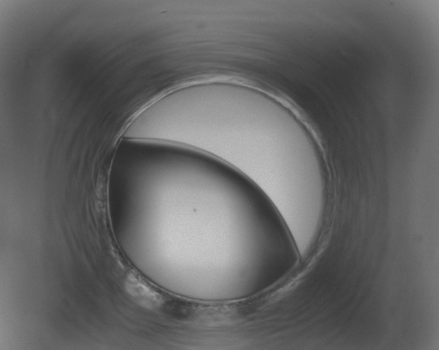 X0000081491001200701121107