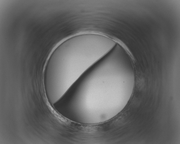 X0000081491004200701121107
