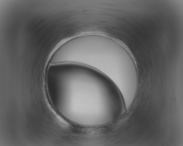 X0000081491005200701121107