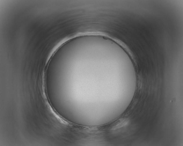 X0000081491006200701121107