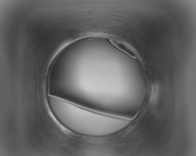 X0000081491007200701121107