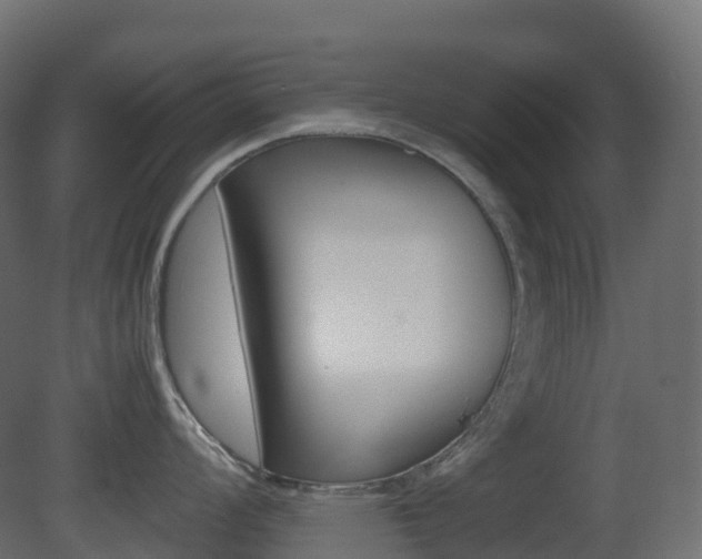 X0000081491008200701121107