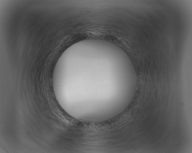 X0000081491009200701121106