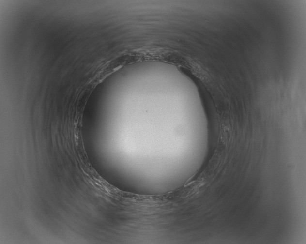 X0000081491010200701121106