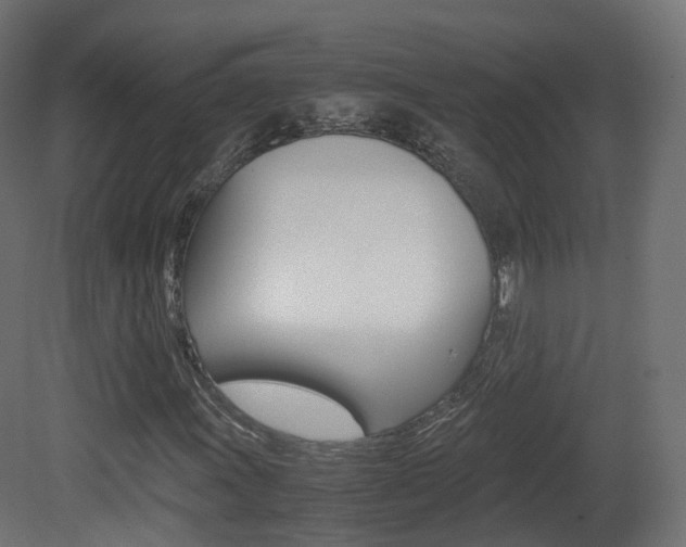 X0000081491011200701121106