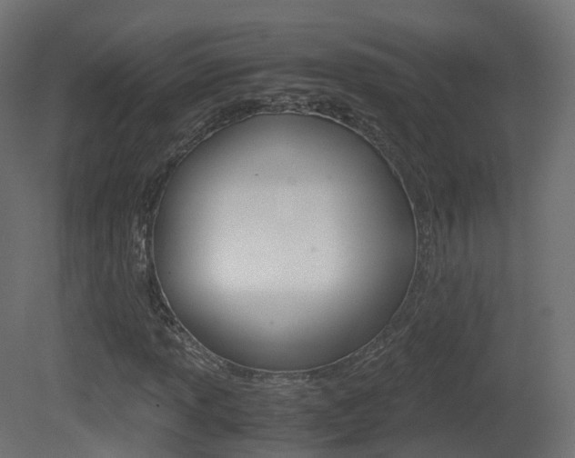 X0000081491013200701121106