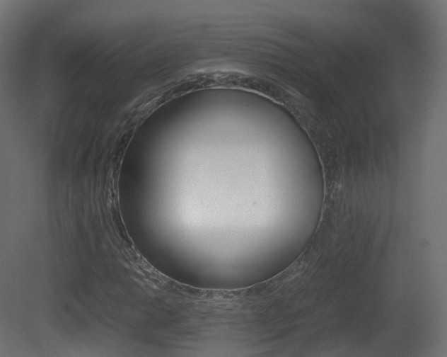 X0000081491014200701121106