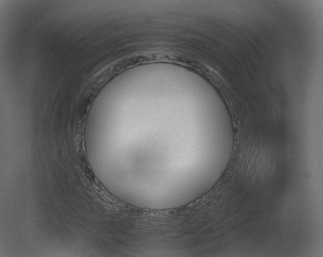 X0000081491015200701121106