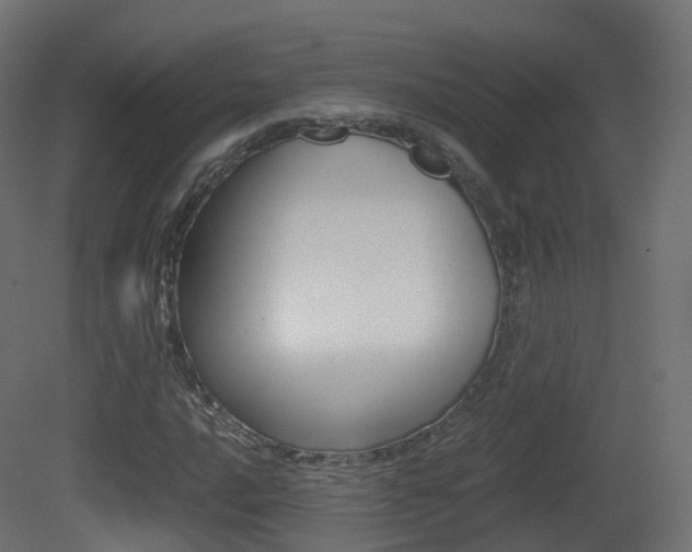 X0000081491016200701121106