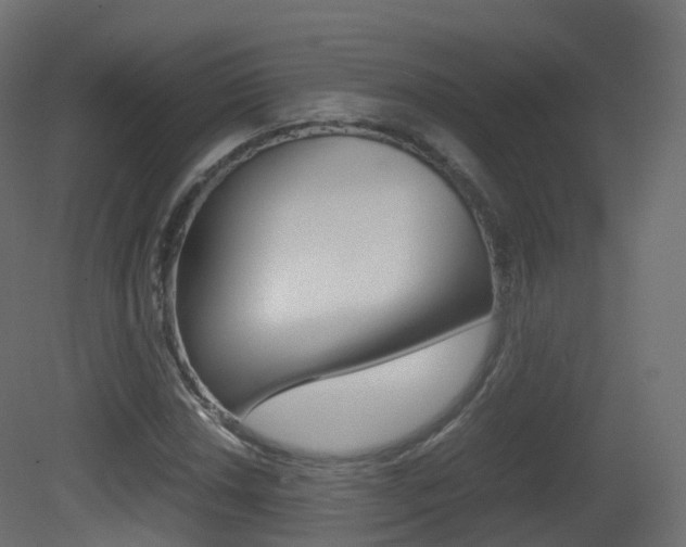 X0000081491018200701121106
