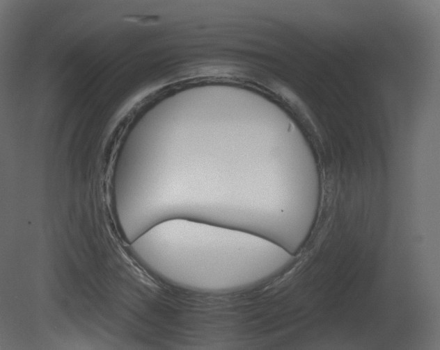 X0000081491019200701121106