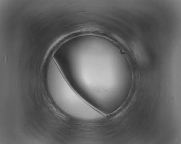 X0000081491021200701121107