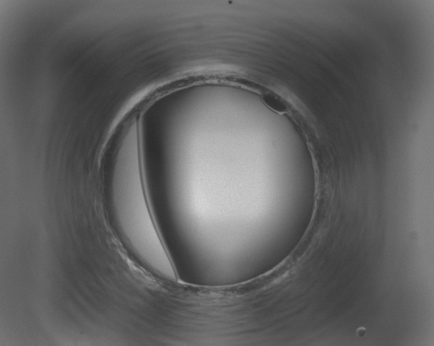 X0000081491022200701121107