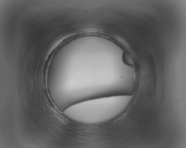 X0000081491023200701121107