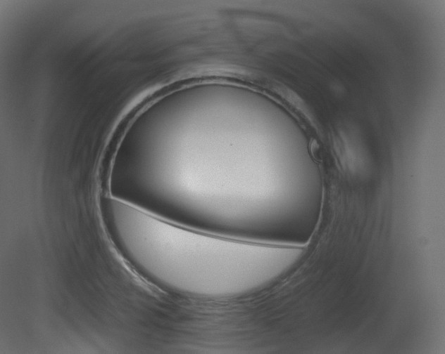 X0000081491024200701121107