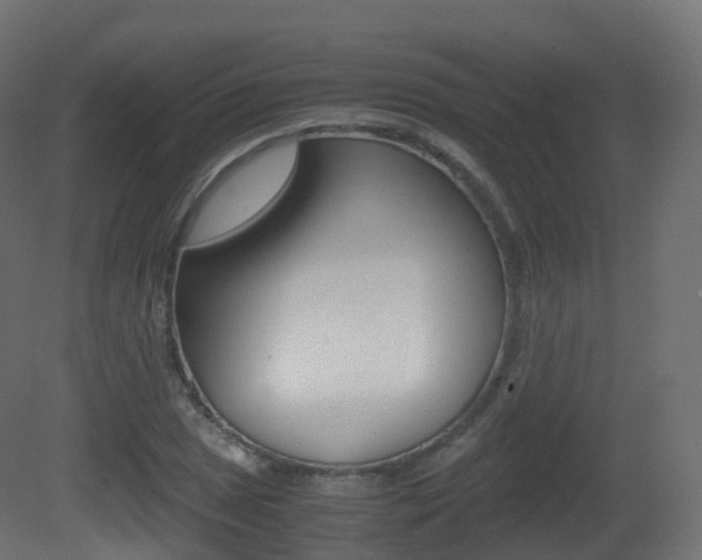X0000081491025200701121107