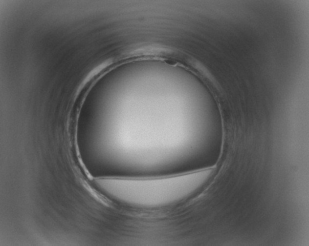 X0000081491026200701121107