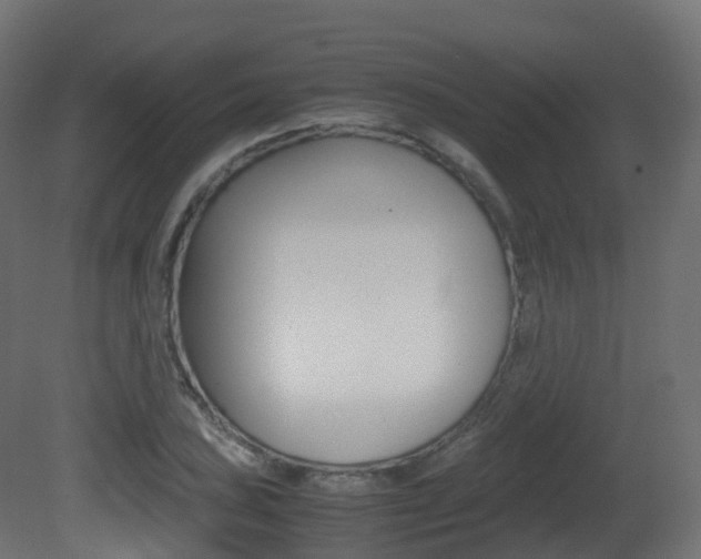 X0000081491027200701121107
