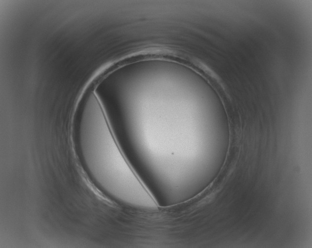 X0000081491029200701121107