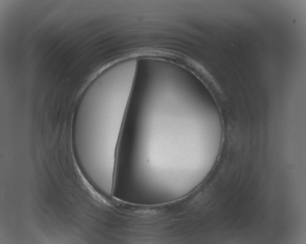 X0000081491033200701121107