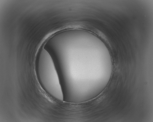 X0000081491035200701121107