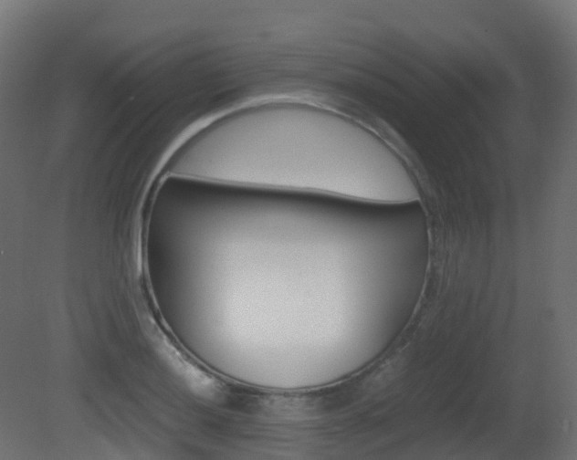 X0000081491036200701121107