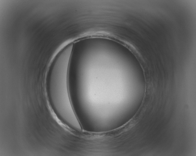 X0000081491038200701121107