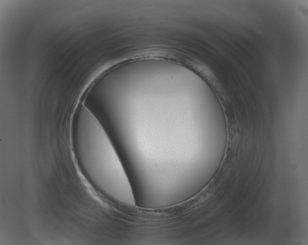X0000081491039200701121107