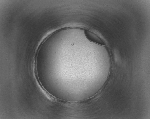 X0000081491040200701121107