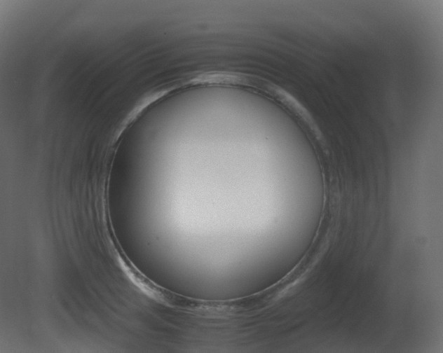 X0000081491041200701121107