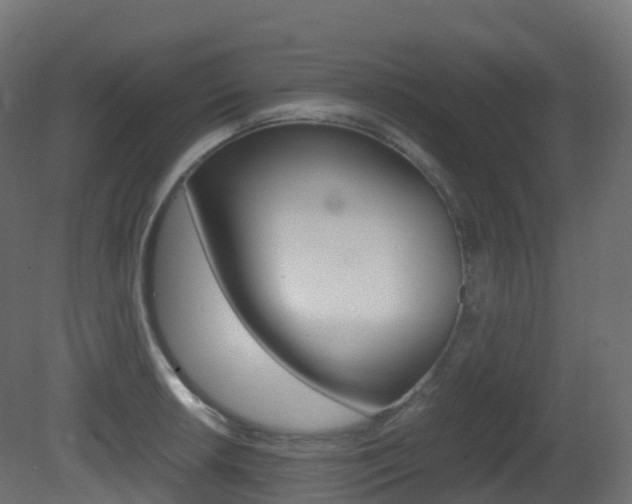 X0000081491042200701121107