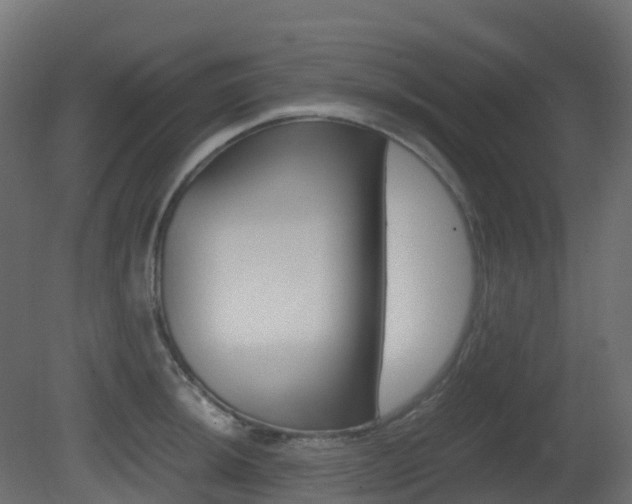 X0000081491044200701121107
