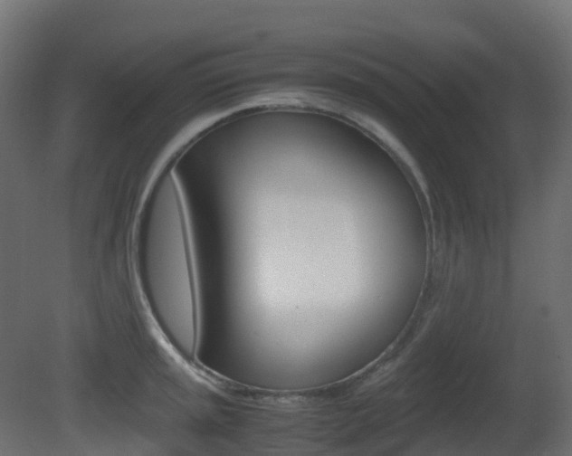 X0000081491045200701121107