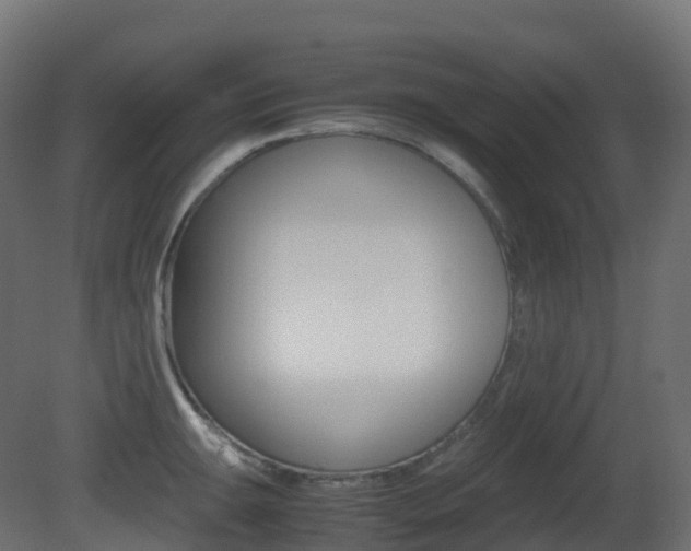 X0000081491047200701121107