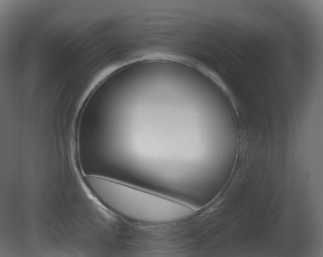 X0000081491048200701121107