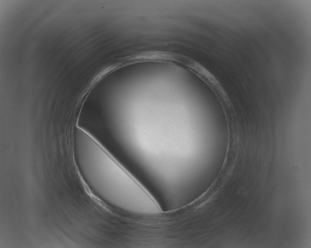 X0000081491049200701121107